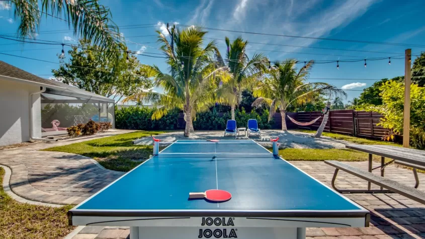 Ping Pong Table