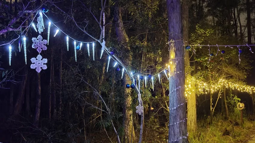 Blue section merging into Silver & Gold section of Holiday Lights trail