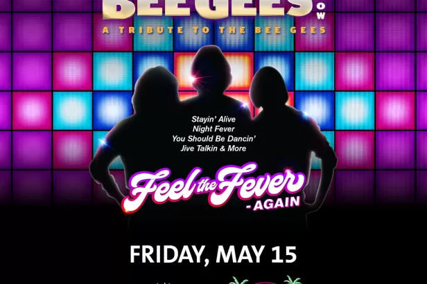  The Australian Bee Gees Tribute 
