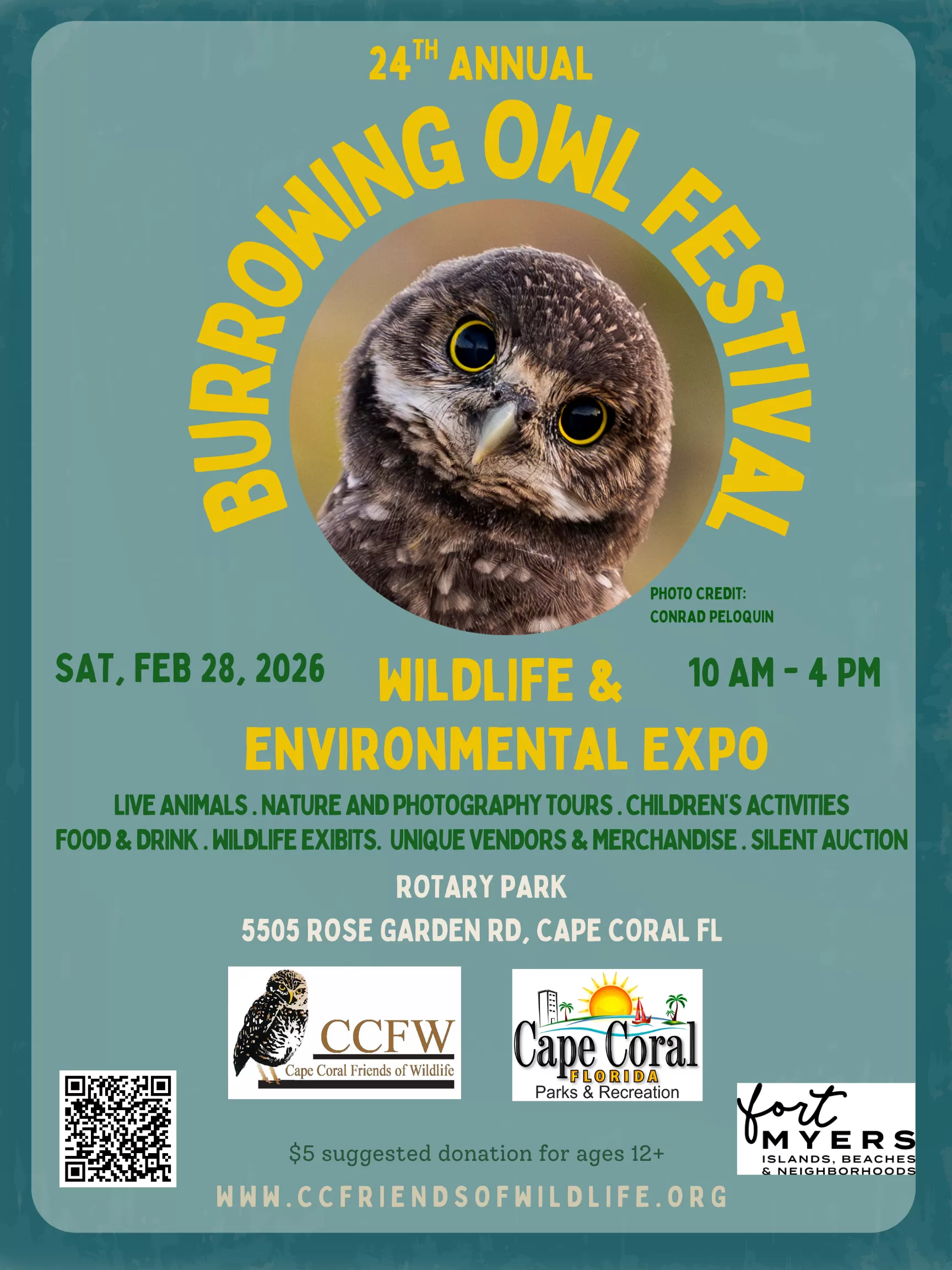 Burrowing Owl Flyer